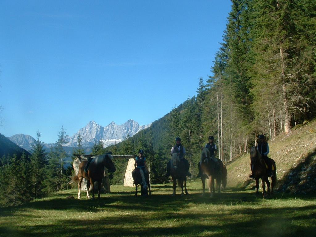 Hotel Heisshof à Schladming Extérieur photo